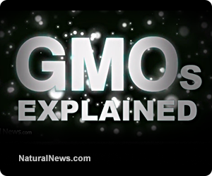 GMOs-Explained.jpg