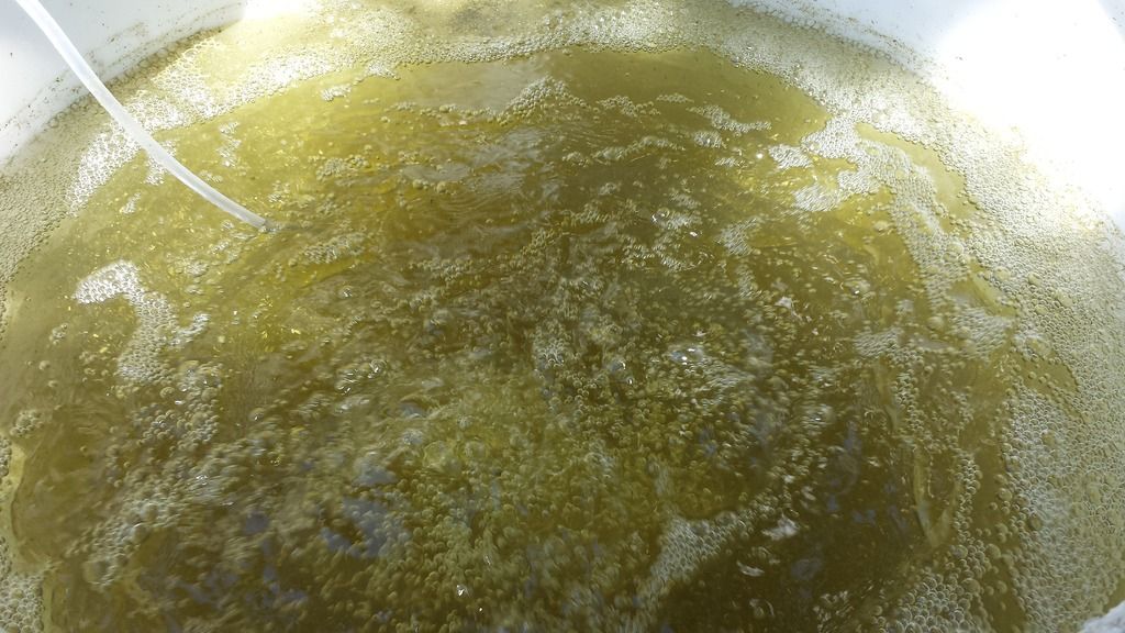 20150412_131028.jpg