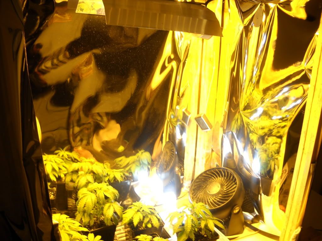 DSCN0872.jpg