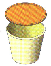 bouturette01.jpg