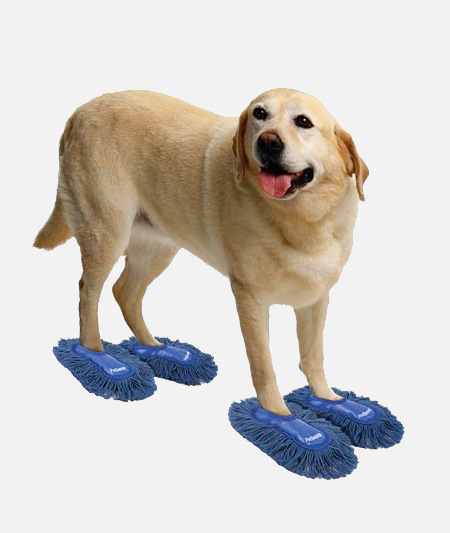 petsweep04.jpg
