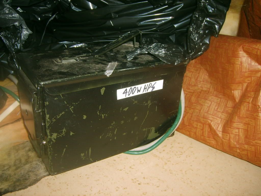 S5000745.jpg