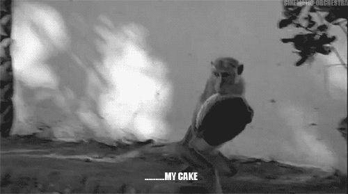 tumblr_mnoe0o5Xxg1qekvhfo1_500.gifv