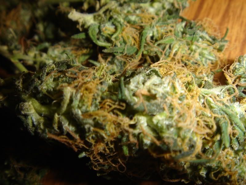 pipe006.jpg