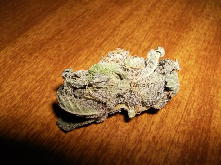 Grape.jpg