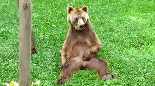 tumblr_mprig9n9ew1qb5gkjo1_500.gif