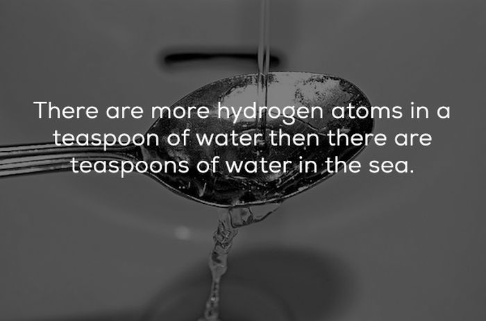 fake_sounding_facts_06.jpg