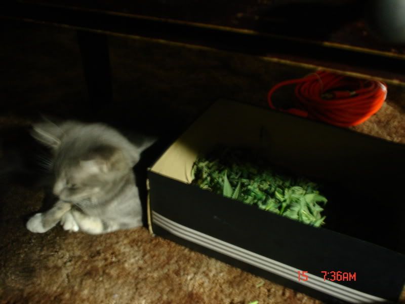 Picture021.jpg