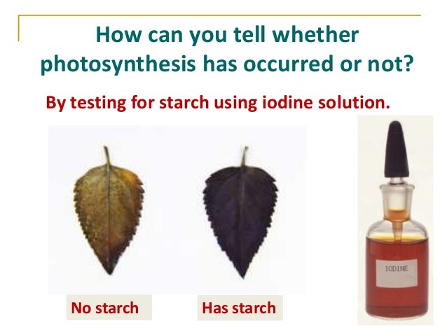 photosynthesis-20-638.jpg