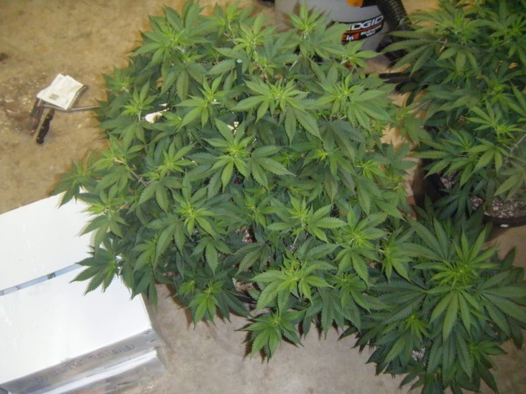 DSCF8205.jpg