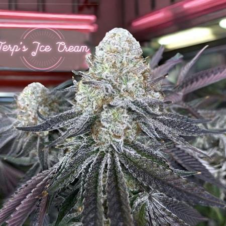 growdiaries.com