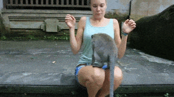 1663250426_25.gif