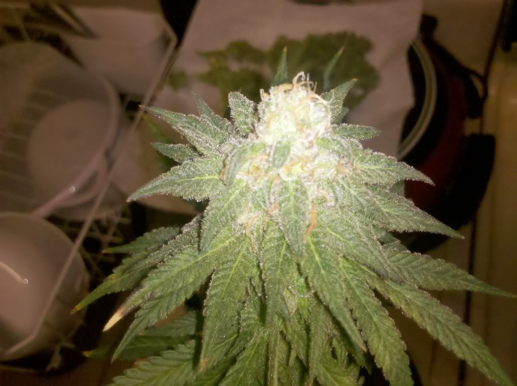 1-7-1119.jpg