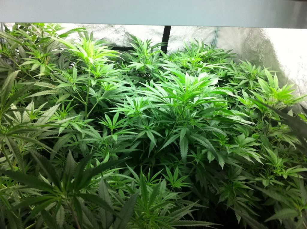 2342fda9.jpg