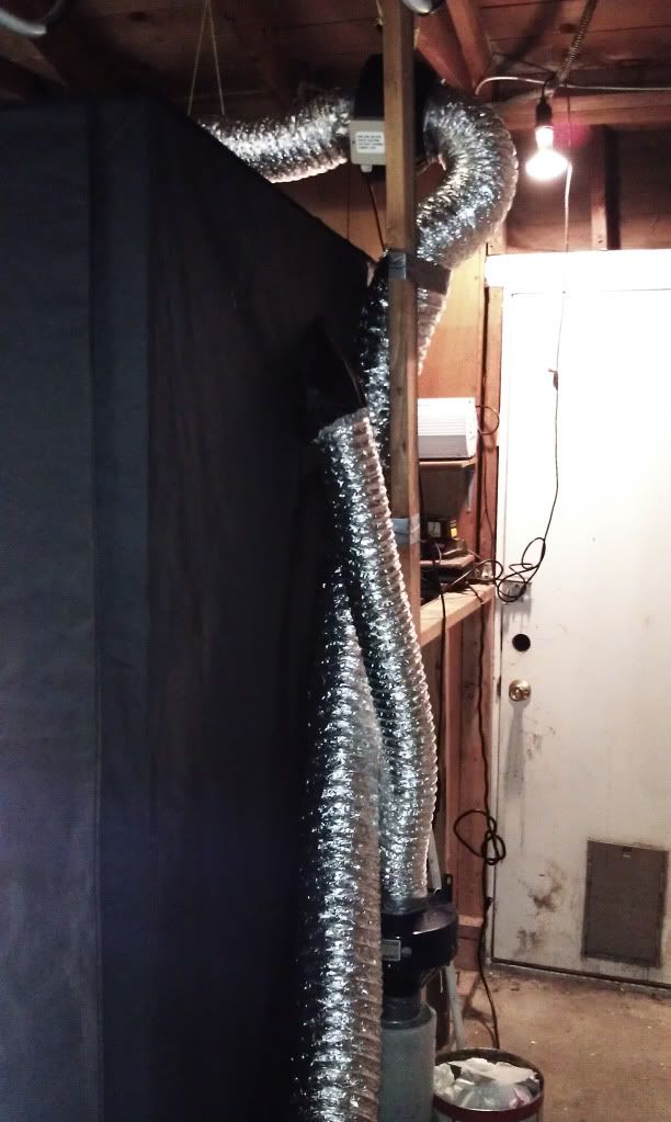 IMAG0519.jpg