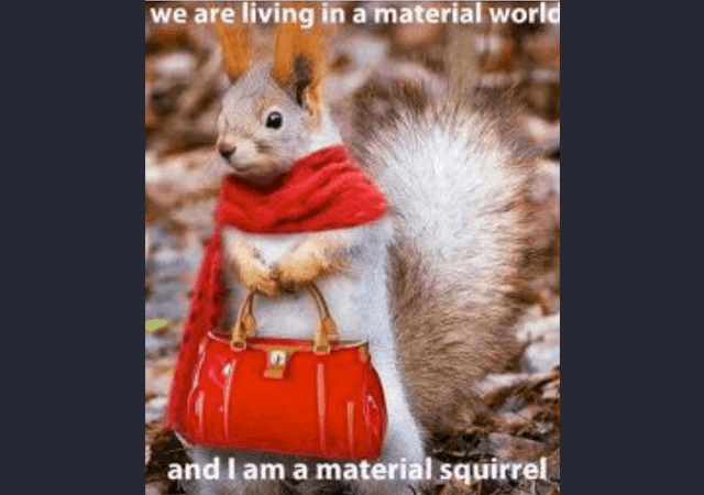 friday-squirrel-funny-.png