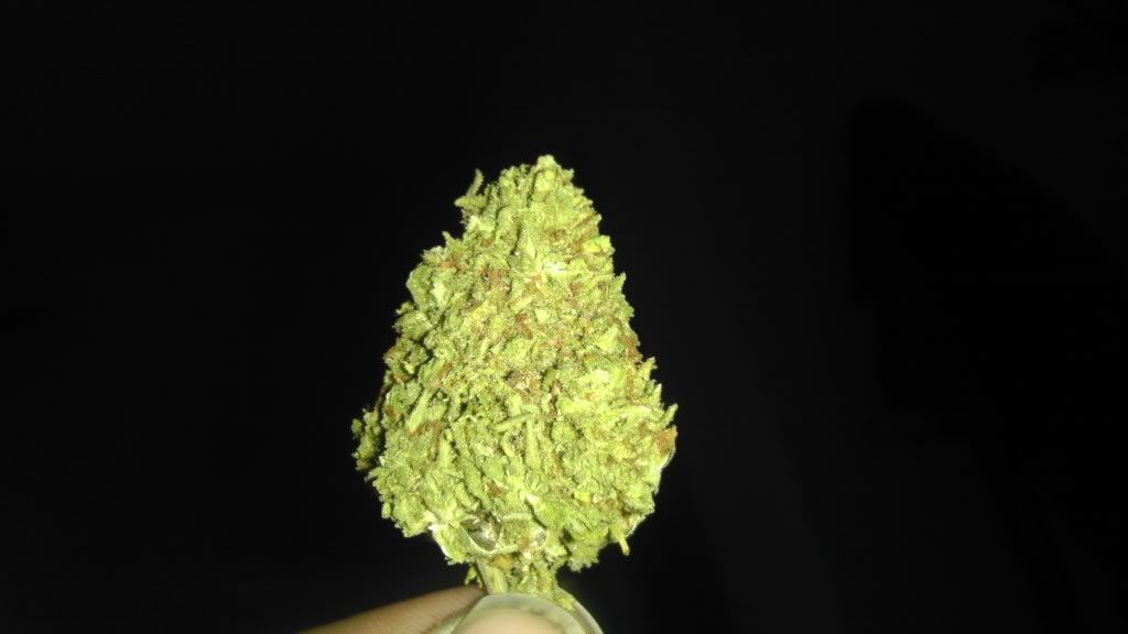 IMAG0422.jpg