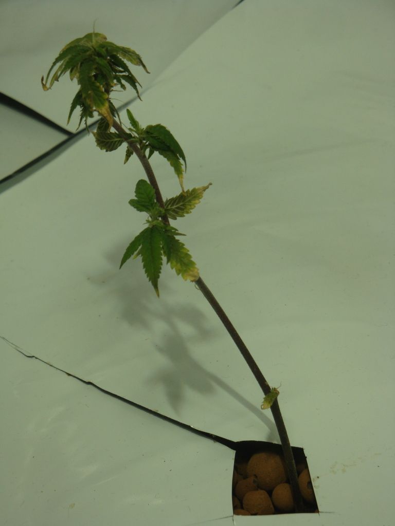 DSC03905.jpg