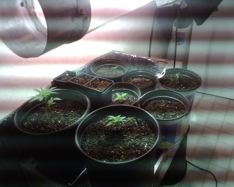 IMG00422.jpg