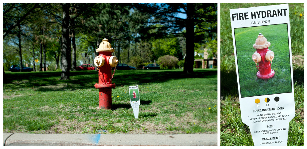 all_plant_signs_hydrant_w_10001.jpg