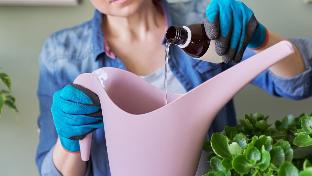www.gardeningknowhow.com