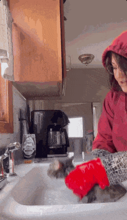 1662893557_26.gif