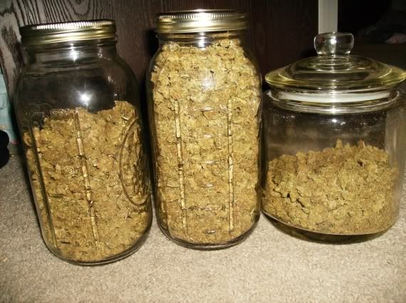 stonehengejars.jpg