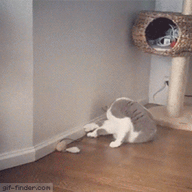 143bf1154c3ced9b7e529ab051d4f3f4.gif