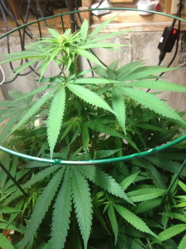 june102012032.jpg