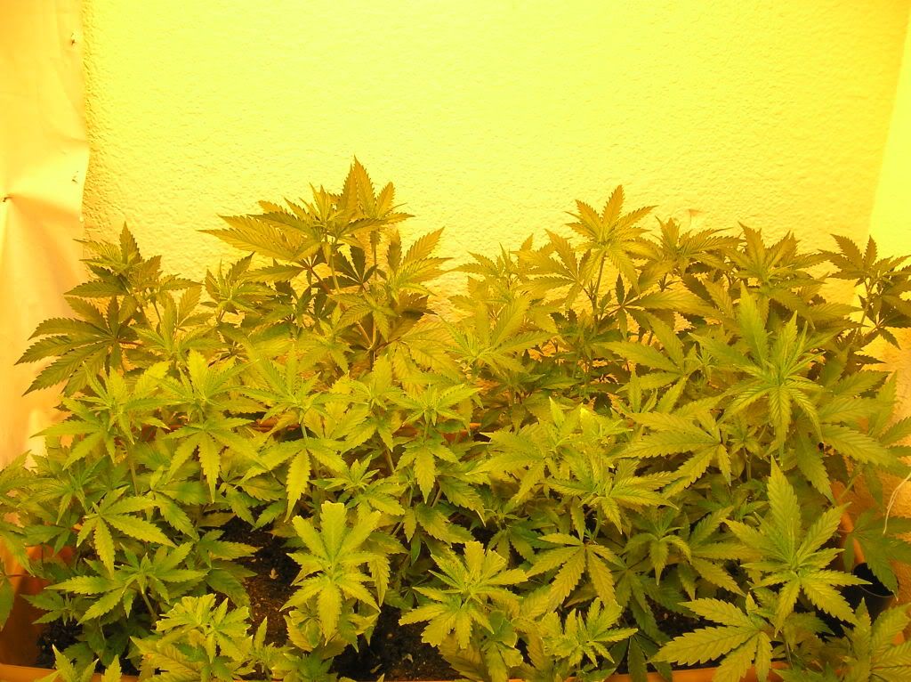 3-14-10005.jpg