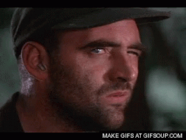 20835861.gif