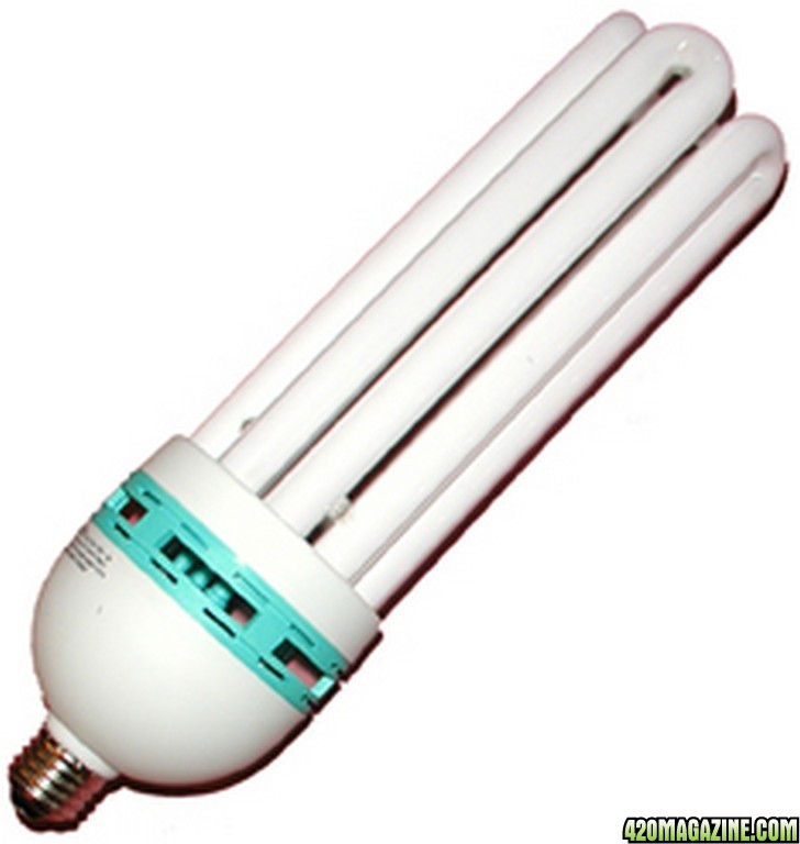 Tube_CFL.jpg