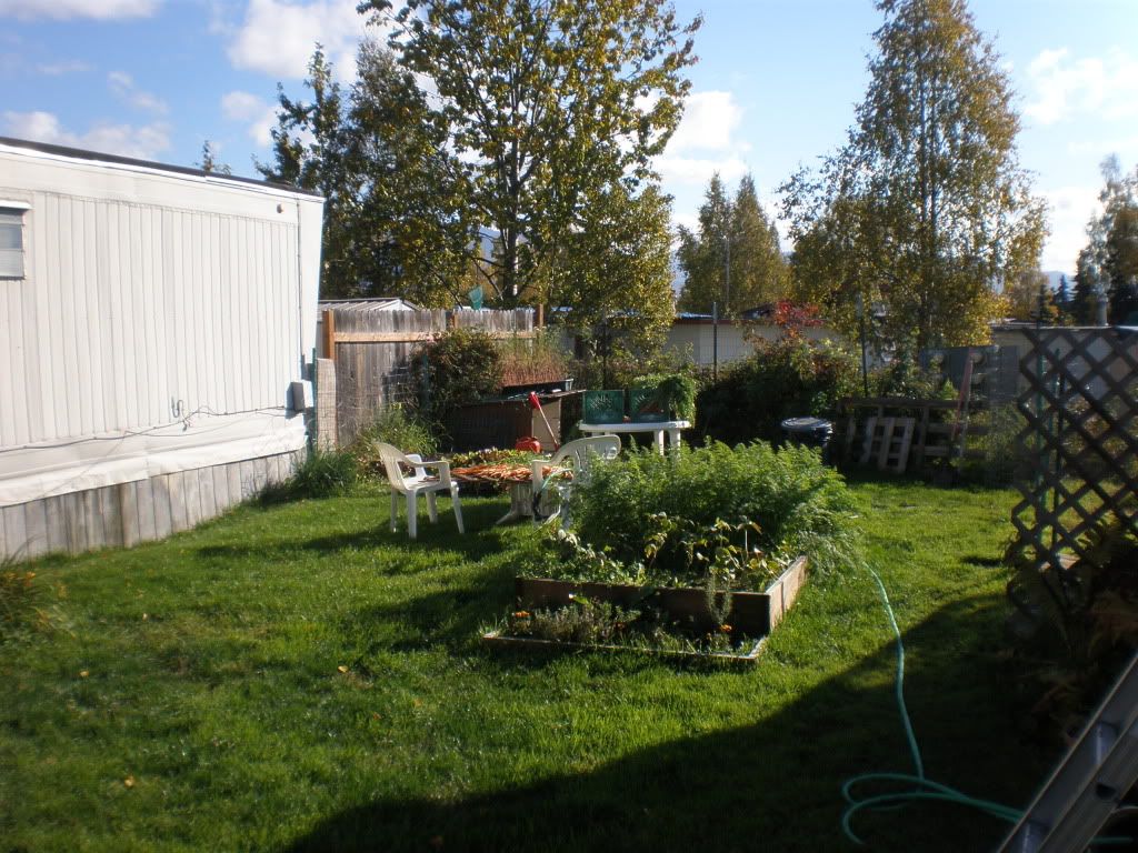 P9220001.jpg