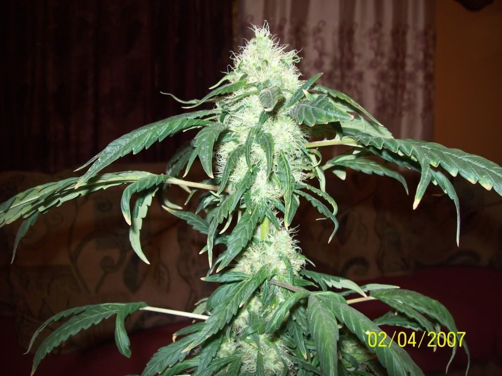 100_8024.jpg