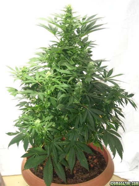 BB_CC_Update_Sep21_028.jpg