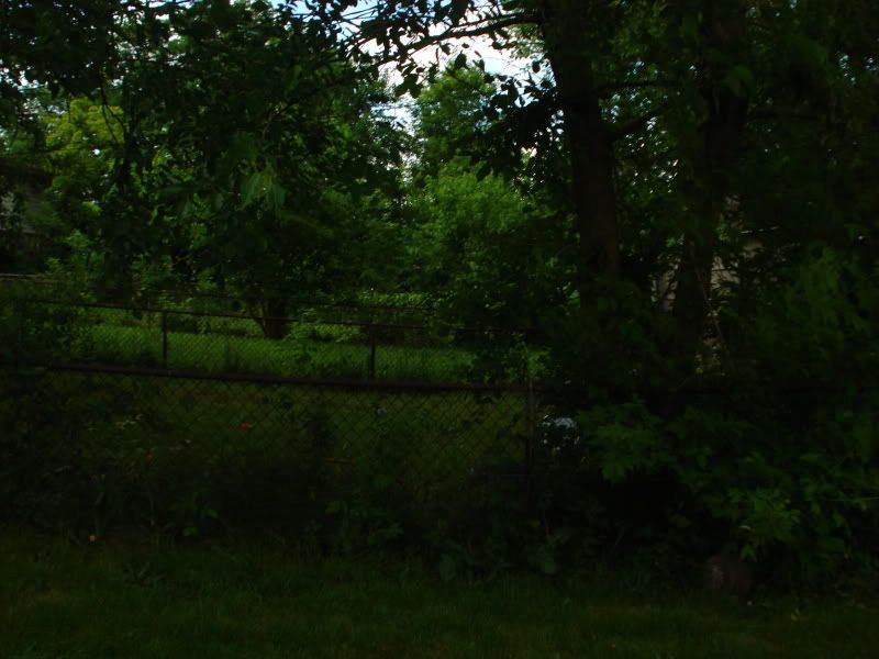 DSC02781.jpg