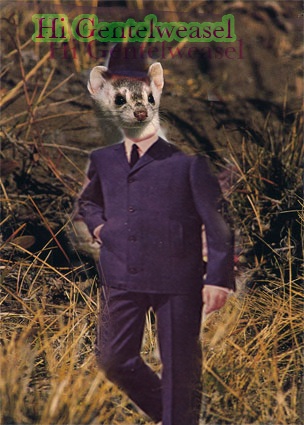 weasel2.jpg