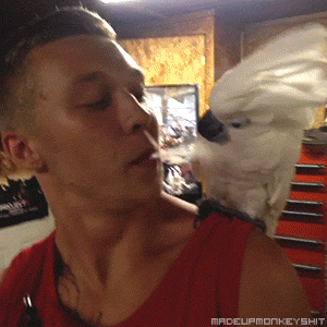83479686.gif