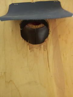 20131002_054559.jpg