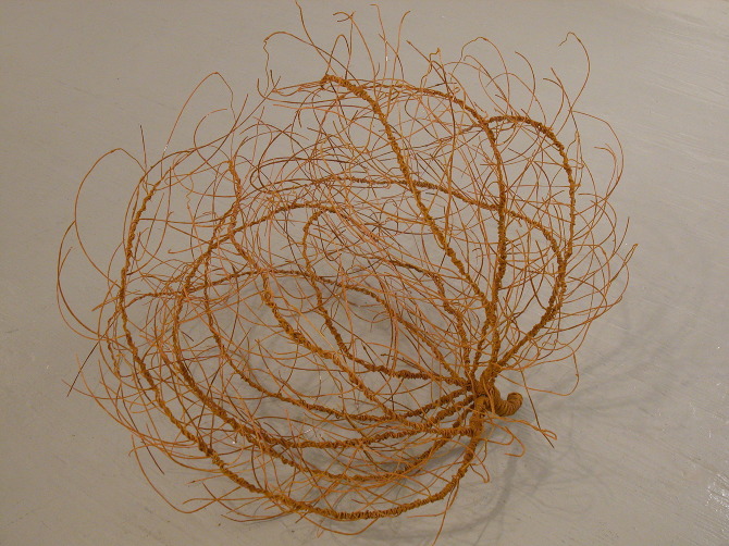tumbleweed.jpg
