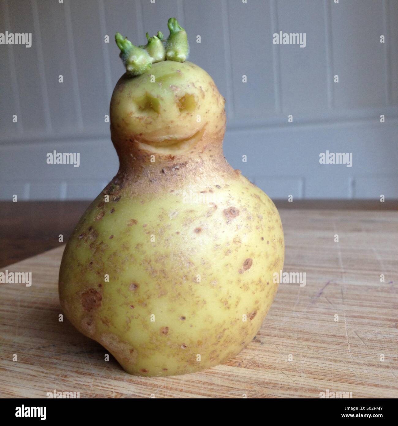 una-patata-en-la-forma-de-un-torso-humano-y-cabeza-s02pmy.jpg
