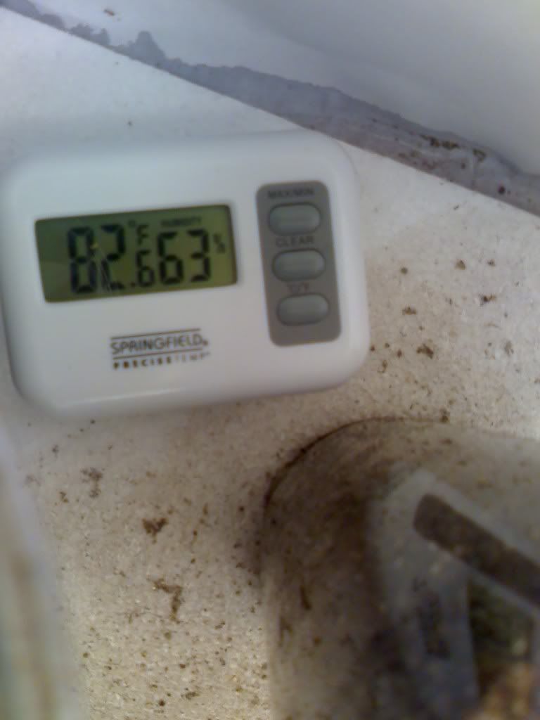 04-13-09_0241.jpg