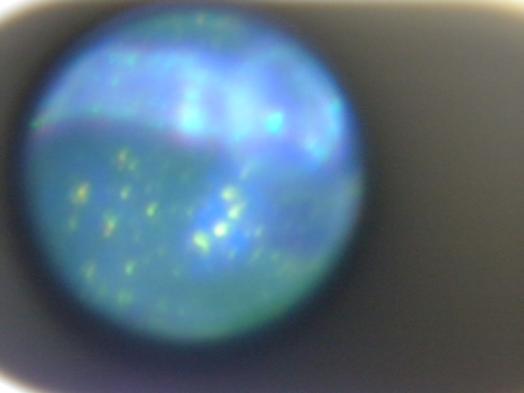 DSCN0494.jpg