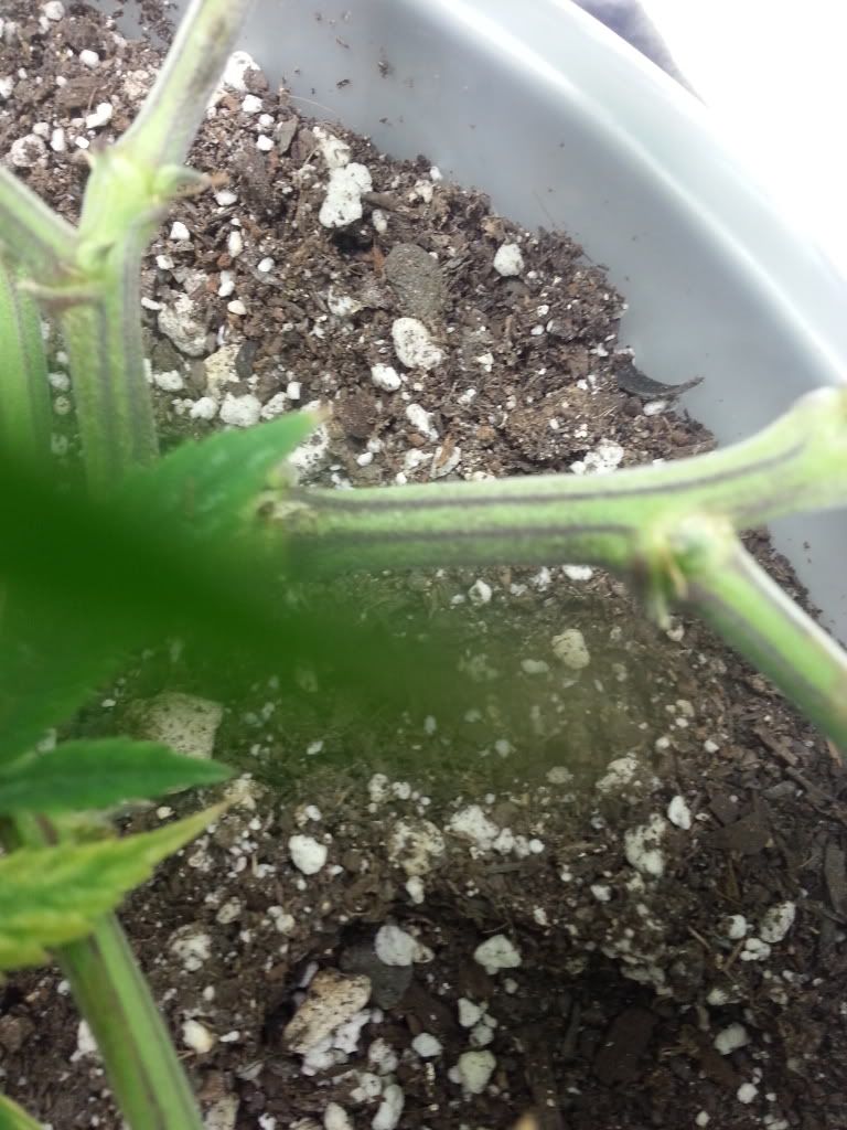 20140129_173054.jpg
