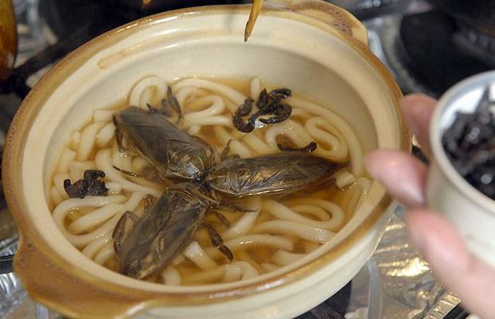 insect_food09.jpg