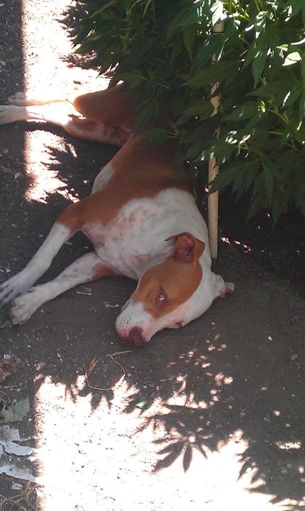 IMAG0170.jpg