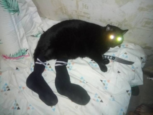 funny_pics_16.jpg