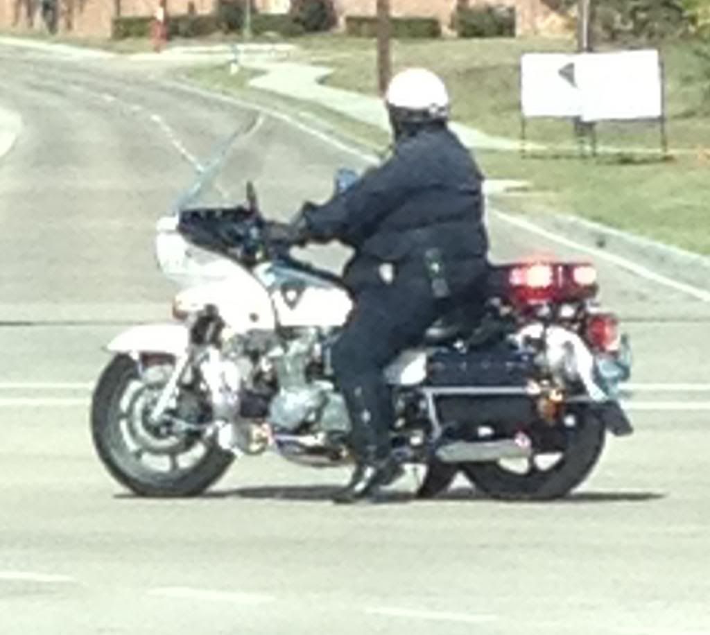 fat_cop.jpg