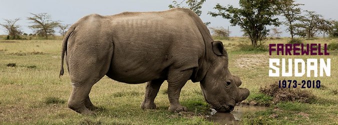 Sudan-farewell.jpg
