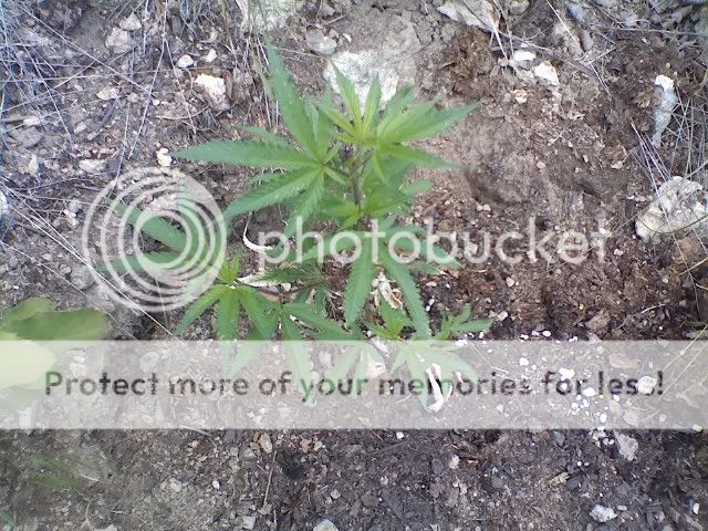 Outdoor4060709.jpg